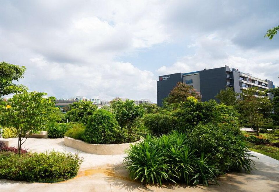 Landscaped garden paths and planting at Woodlands Healing Garden, with the Woodlands Health building behind